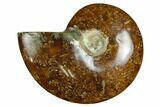 Polished, Agatized Ammonite (Cleoniceras) - Madagascar #164149-1